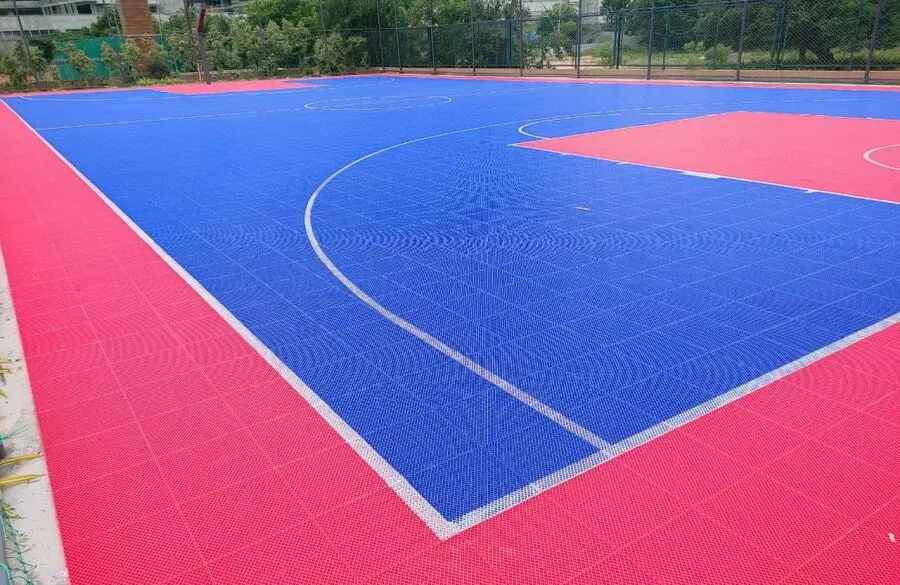Executed PPT Based Multi Sports Court Image